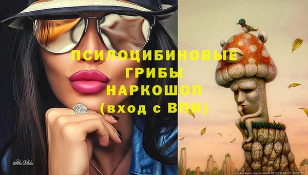 кокс Армянск